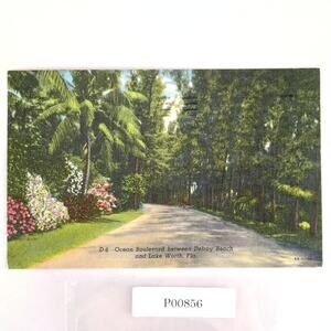 Ocean Boulevard Between Delray Beach & Lake Worth Florida 1940s Linen Postcard